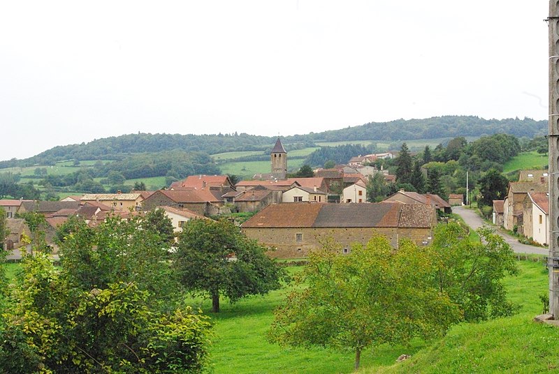 Vue générale Donzy le Pertuis