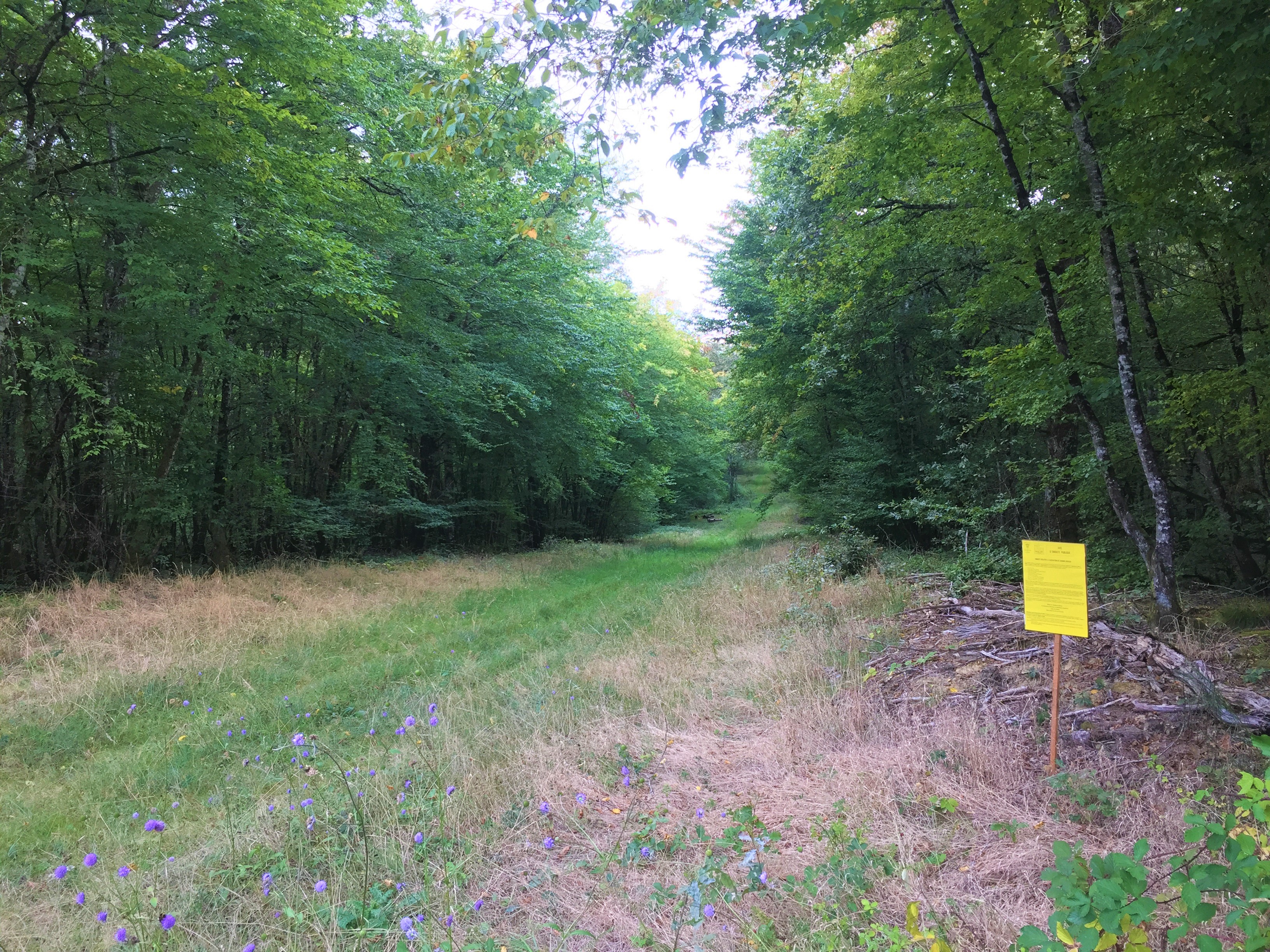 chatillon en bazois chemin large enherbé