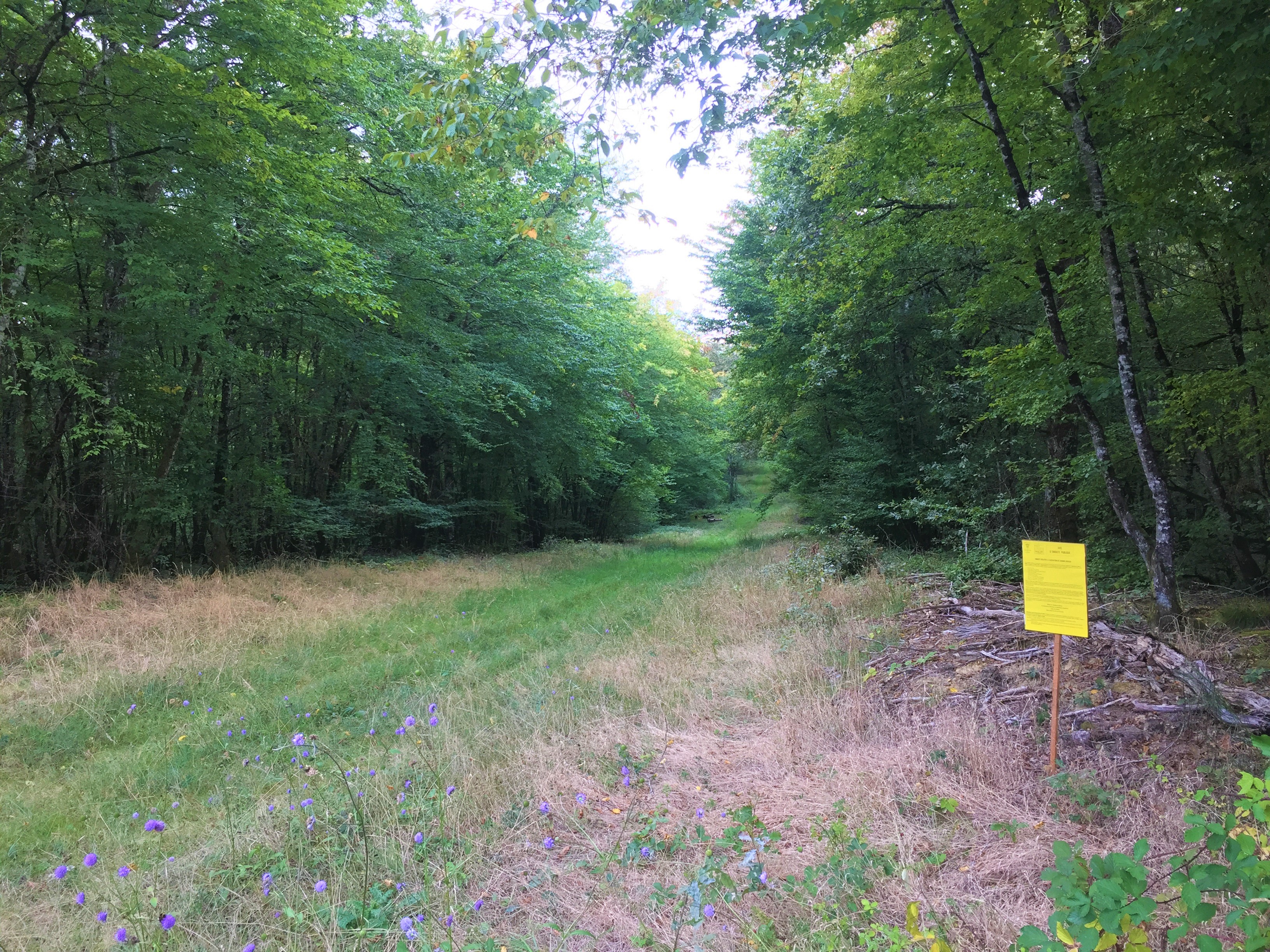 chatillon en bazois chemin large enherbé