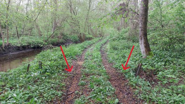 cable camouflé sous les ronces