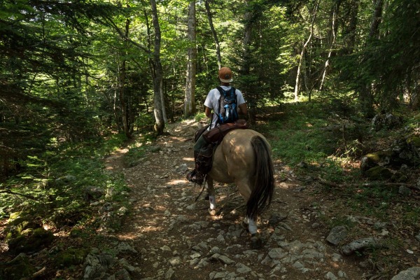 cavalier rando equestre chemin rural