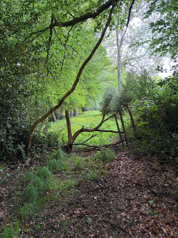 chemin rural entravé par cloture