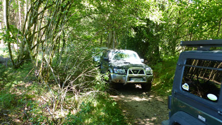 4x4 sur un chemin en forêt