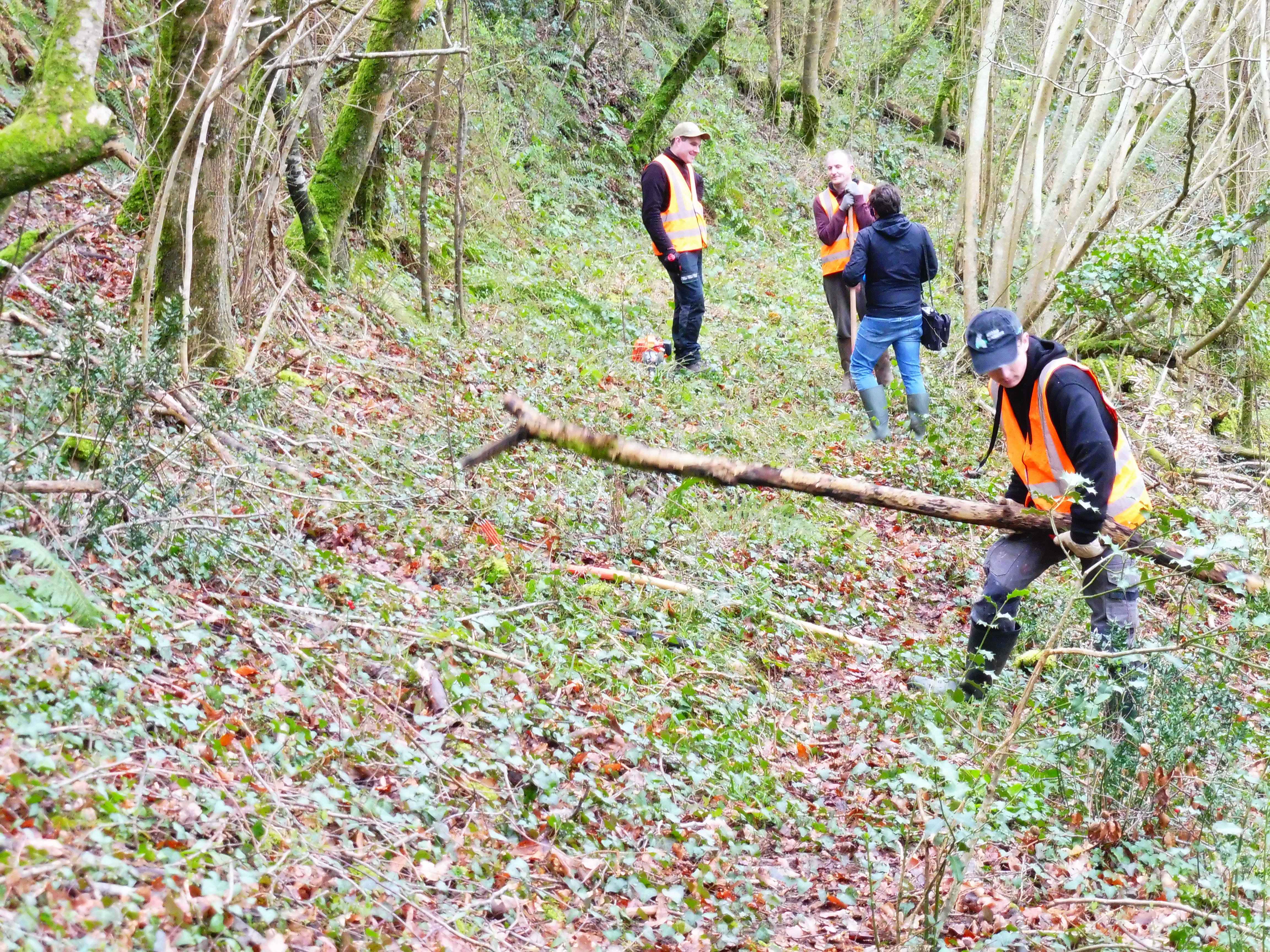 chantier journées des chemins 2024 du CODEVER à Pierrefitte en Cinglais (Calvados)